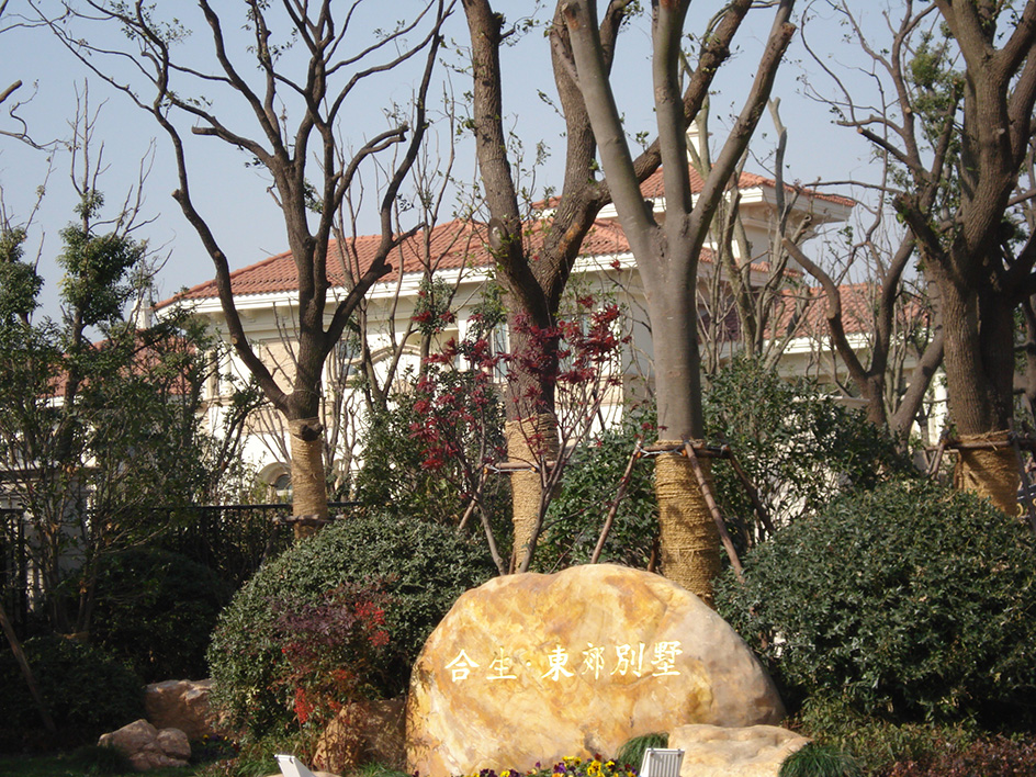 Shanghai Dongjiao Villa