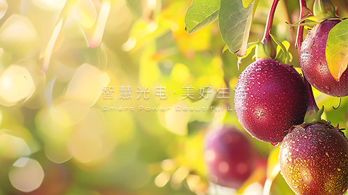 跨电网经营区常态化电力交易机制方案复函、绿色金融支持项目目录、入伏防暑要注意……