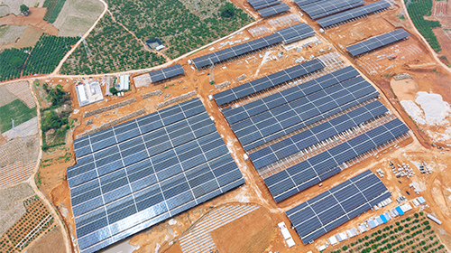 30 MW Agrivoltaic Distributed Photovoltaic Project at Jiawei Smart Ranch, Fusui, Guangxi